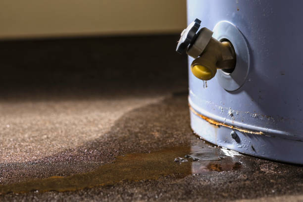 Best Water damage restoration experts  in Eddystone, PA