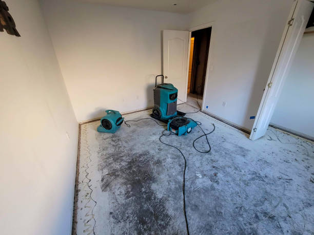 Best 24/7 water damage repair  in Eddystone, PA
