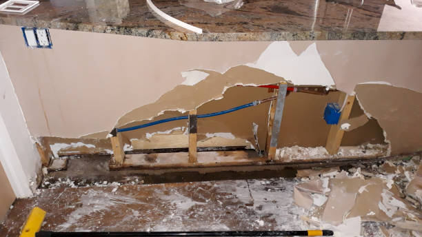 Best Carpet water damage restoration  in Eddystone, PA