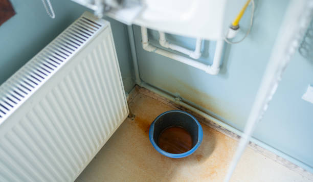 Best Mold removal after water damage  in Eddystone, PA