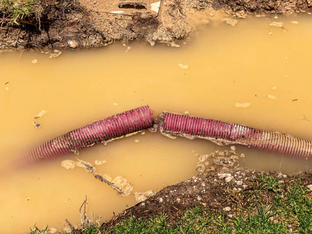 Best Flood restoration services  in Eddystone, PA