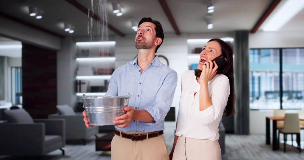 Best Water damage restoration process  in Eddystone, PA