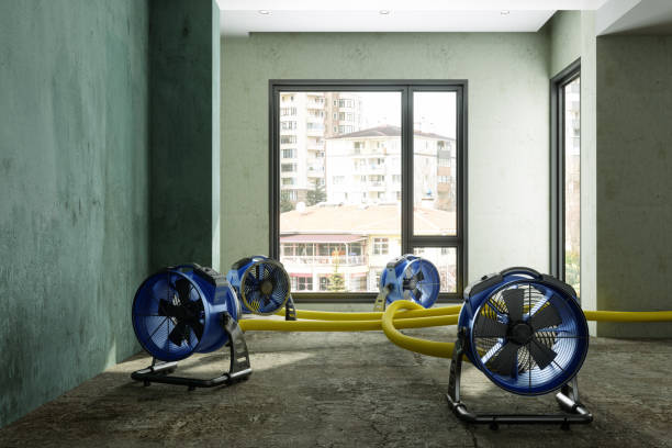 Best Basement water damage restoration  in Eddystone, PA