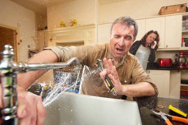 Best Sewage cleanup and water damage restoration  in Eddystone, PA